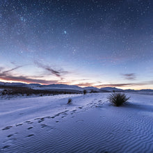 Body Oil - 4oz - Lavished by Nature - by Crystal Marie®