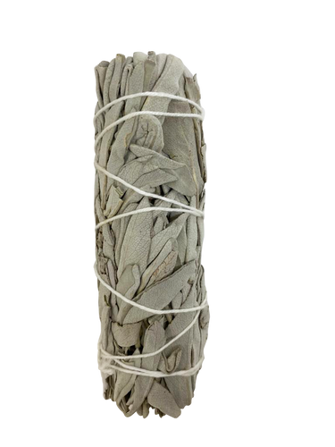 Sage Smudge Stick - Lavished by Nature - by Crystal Marie®